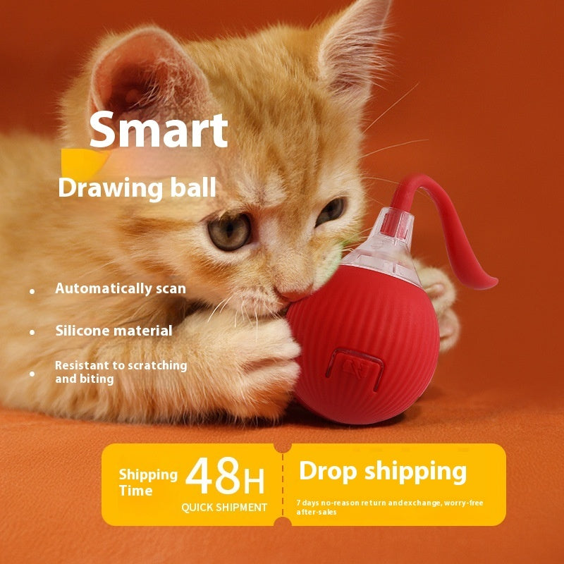 Pet accessories
